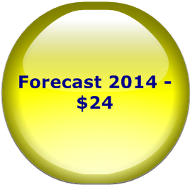 Forecast 2014 - $24